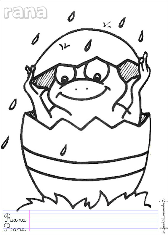 coloriage grenouille 2